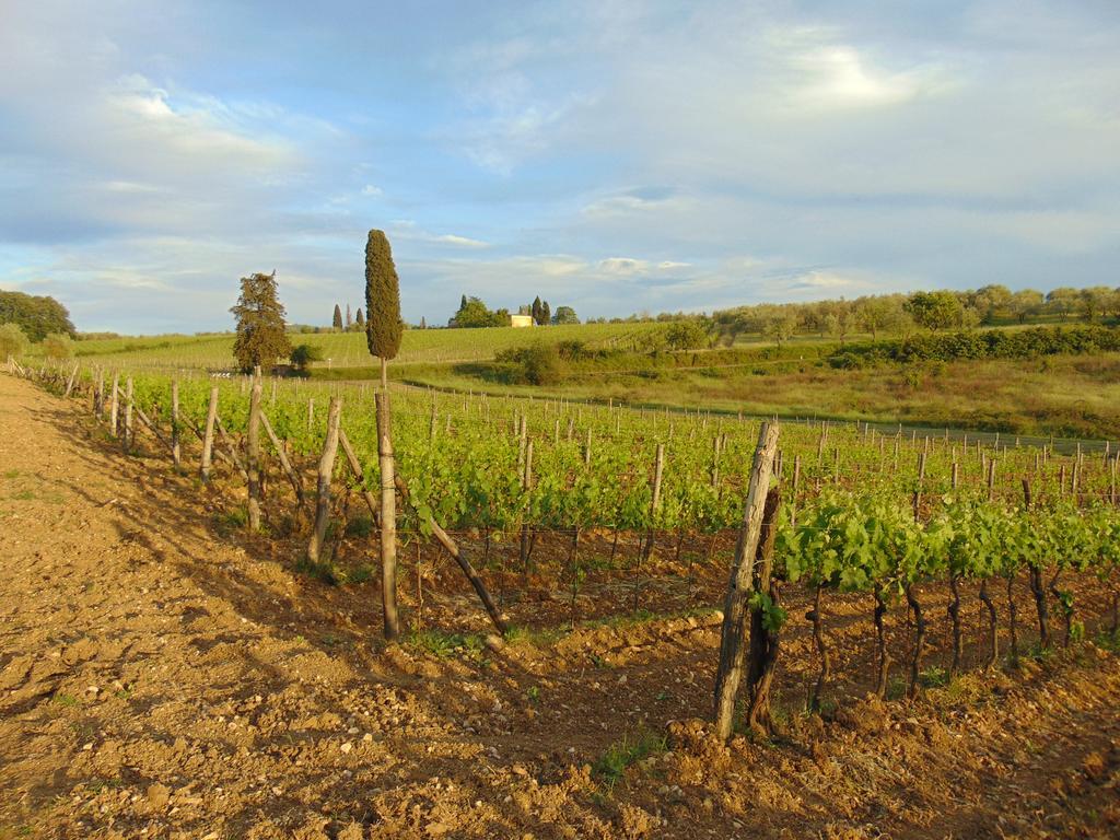 Agriturismo Circugnano Villa Grassina Exterior photo